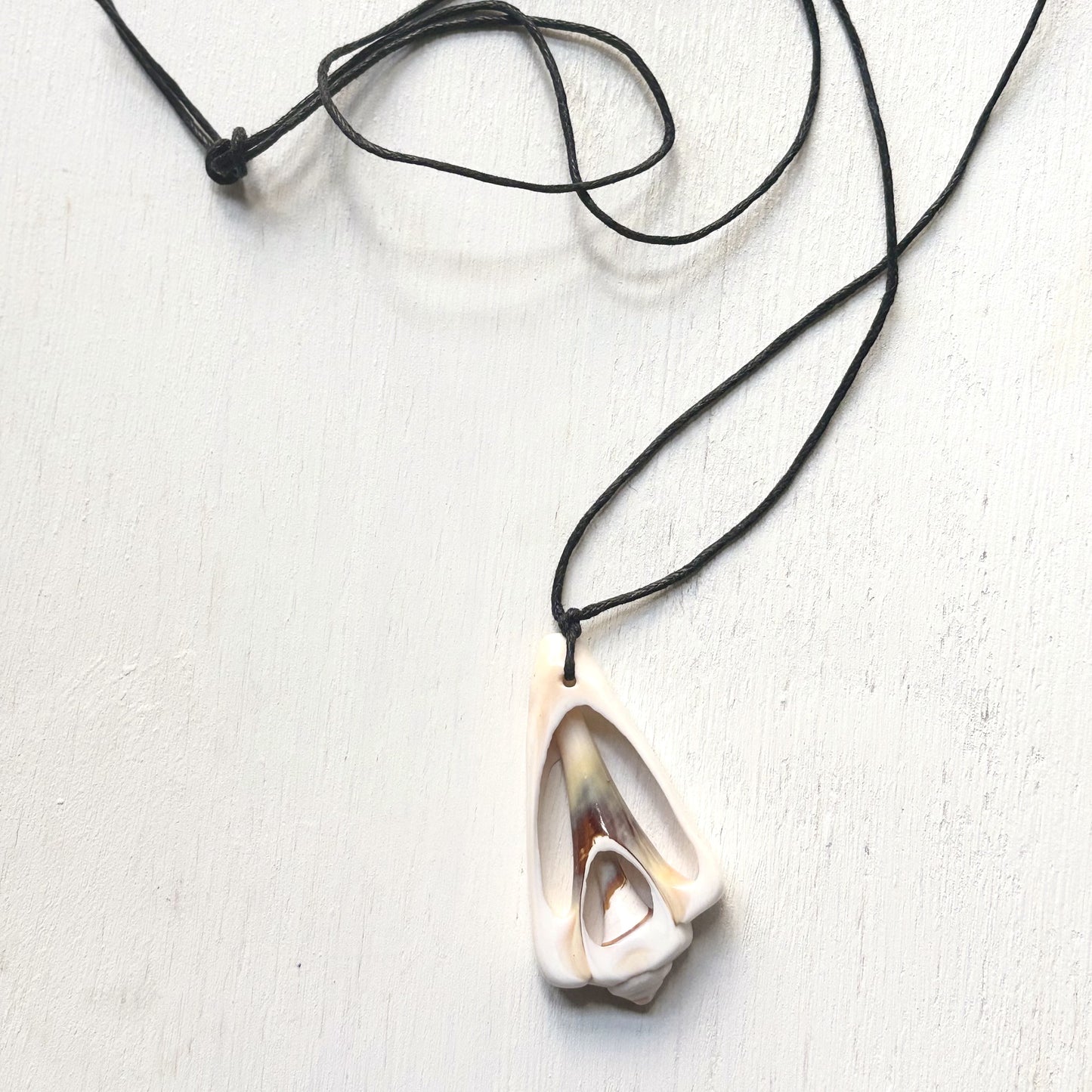 Cross-Cut Shell Necklace