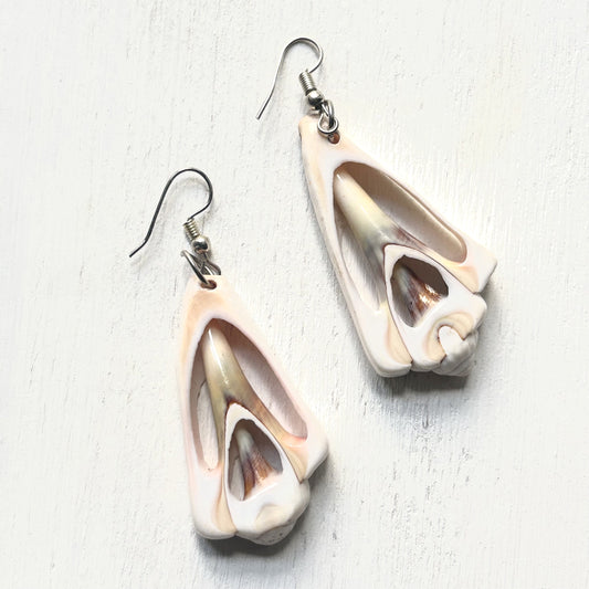 Cross-cut Shell Earrings